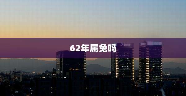 62年属兔吗