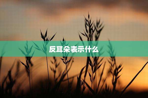 反耳朵表示什么
