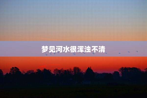 梦见河水很浑浊不清
