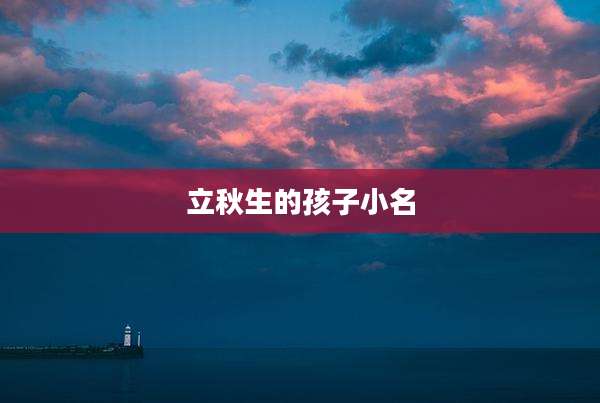 立秋生的孩子小名
