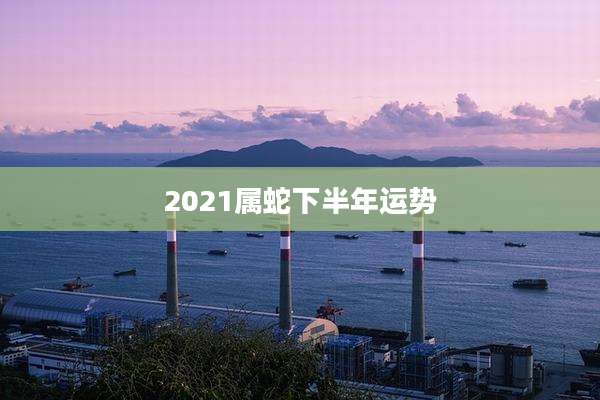 2021属蛇下半年运势
