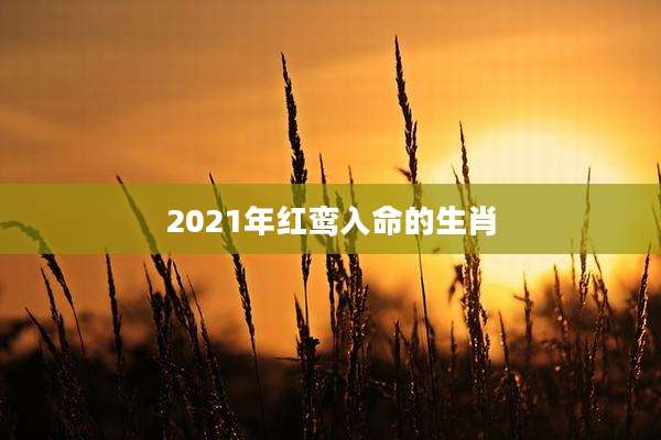2021年红鸾入命的生肖