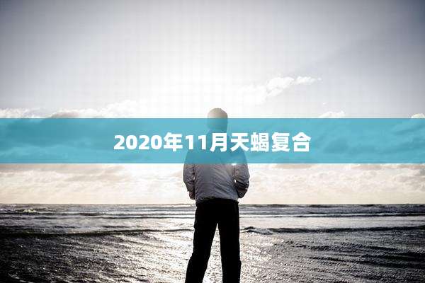2020年11月天蝎复合