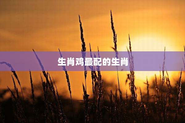 生肖鸡最配的生肖