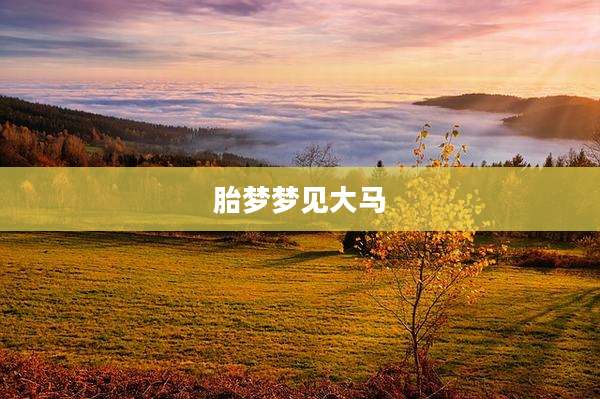 胎梦梦见大马