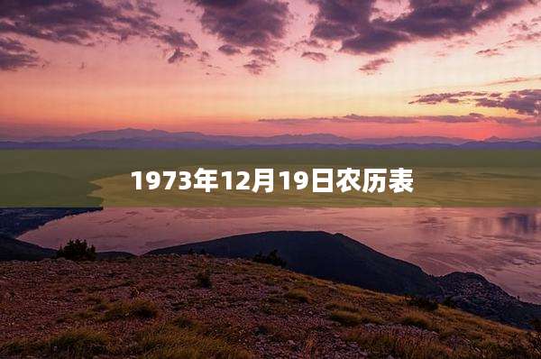 1973年12月19日农历表