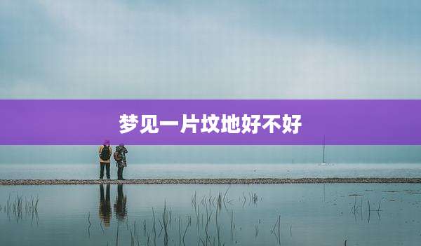 梦见一片坟地好不好