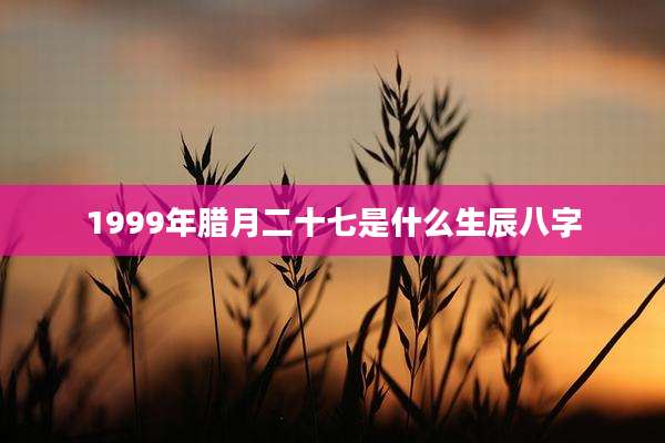 1999年腊月二十七是什么生辰八字