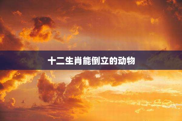 十二生肖能倒立的动物