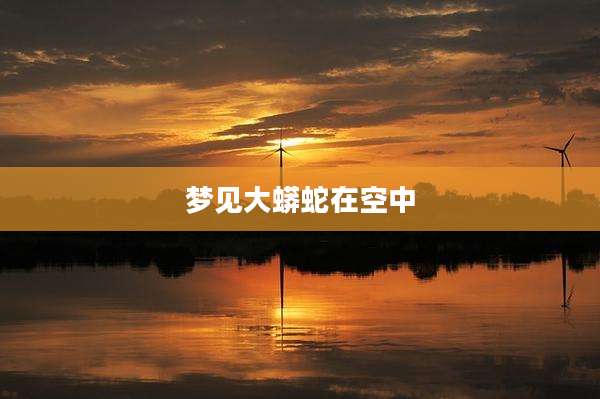 梦见大蟒蛇在空中