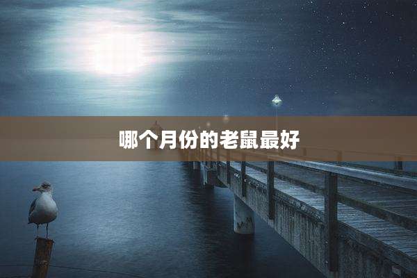 哪个月份的老鼠最好
