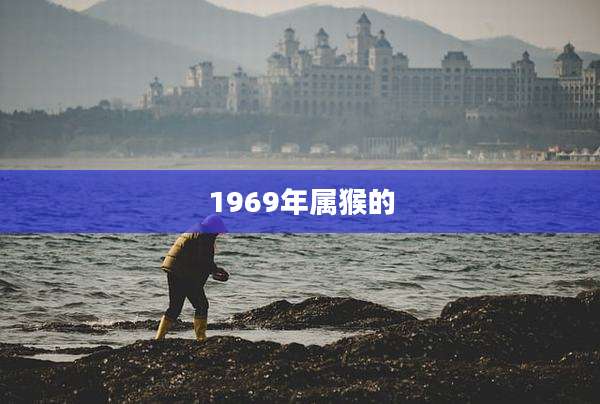 1969年属猴的
