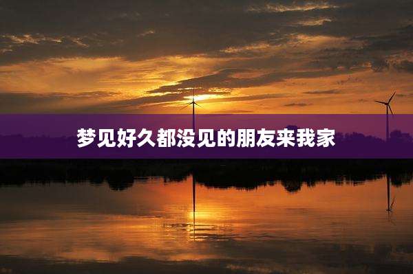 梦见好久都没见的朋友来我家