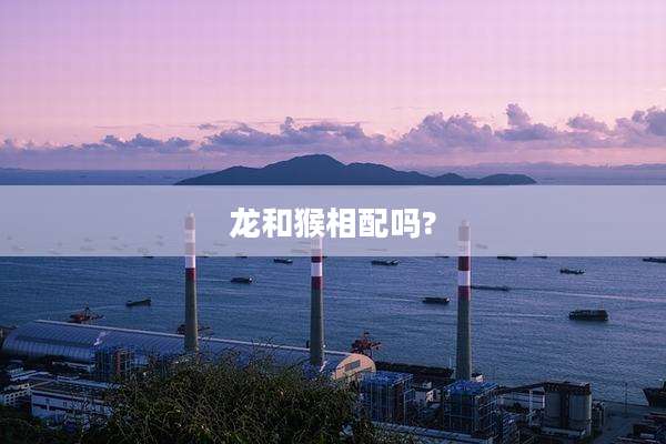 龙和猴相配吗?