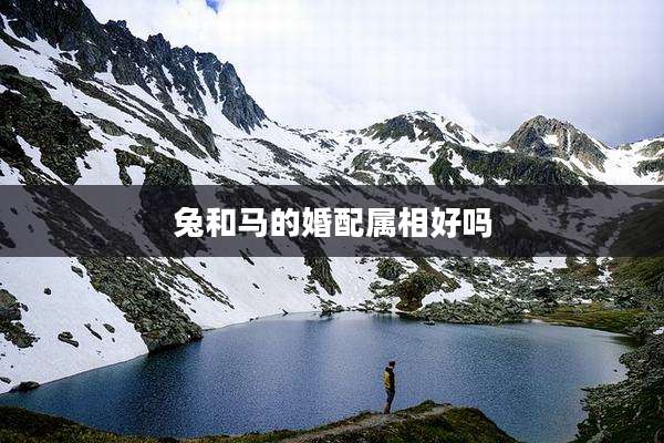 兔和马的婚配属相好吗