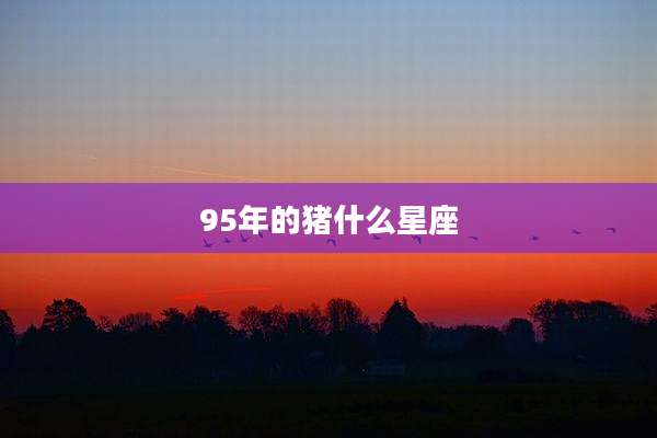 95年的猪什么星座