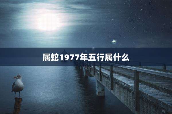 属蛇1977年五行属什么