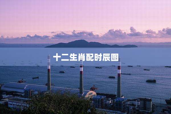 十二生肖配时辰图