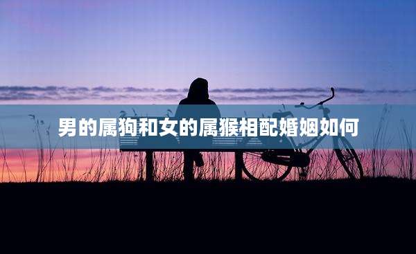 男的属狗和女的属猴相配婚姻如何