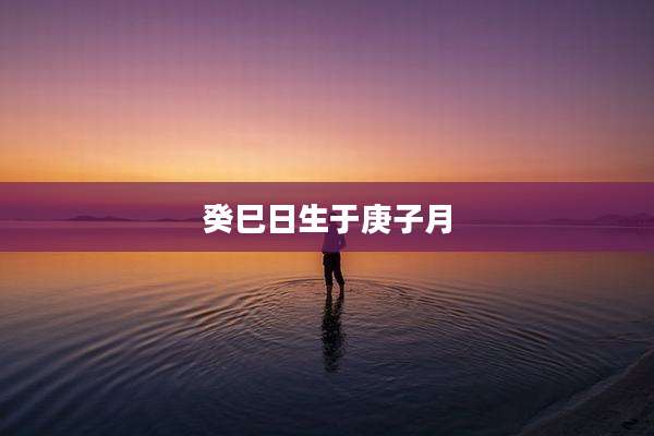 癸巳日生于庚子月