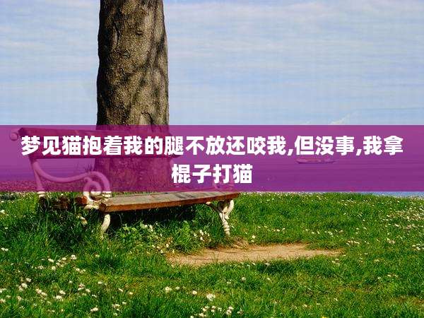 梦见猫抱着我的腿不放还咬我,但没事,我拿棍子打猫