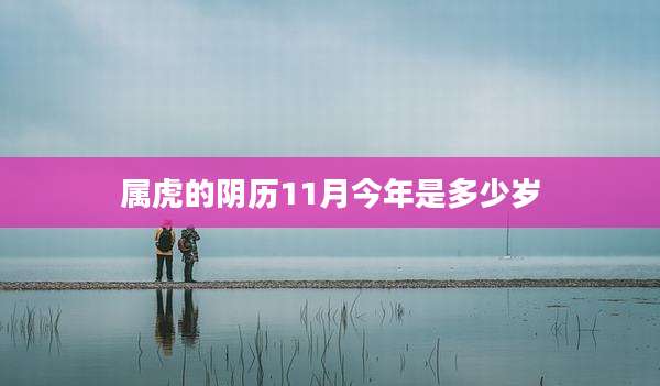 属虎的阴历11月今年是多少岁