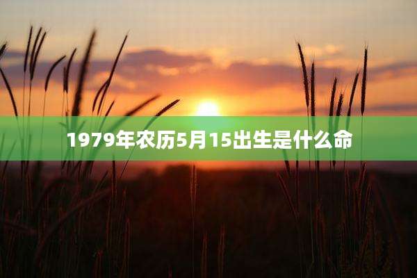 1979年农历5月15出生是什么命