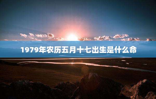 1979年农历五月十七出生是什么命