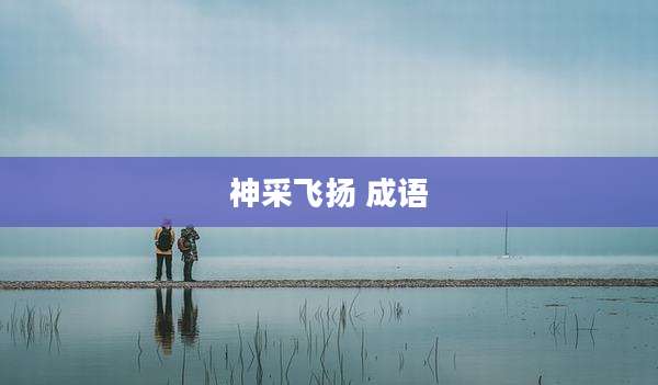 神采飞扬 成语