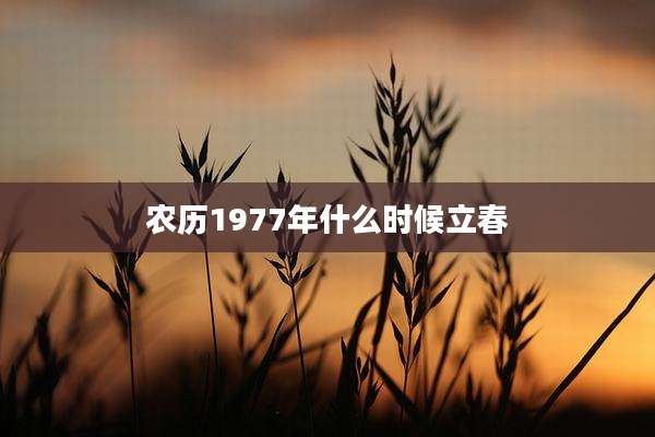 农历1977年什么时候立春