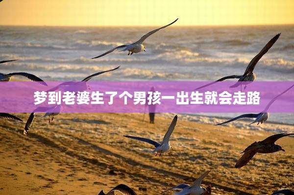 梦到老婆生了个男孩一出生就会走路