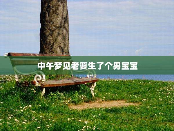中午梦见老婆生了个男宝宝