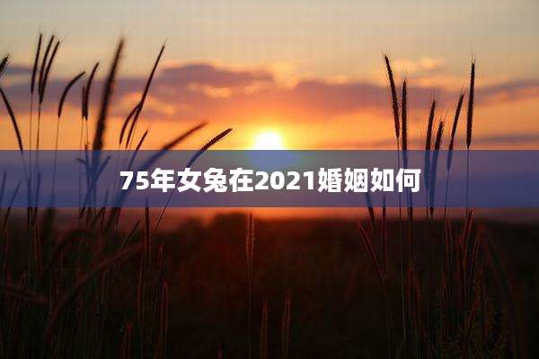 75年女兔在2021婚姻如何
