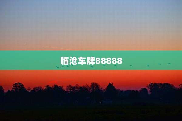 临沧车牌88888