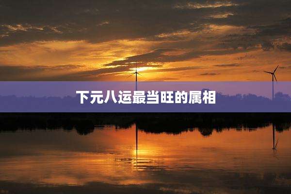 下元八运最当旺的属相