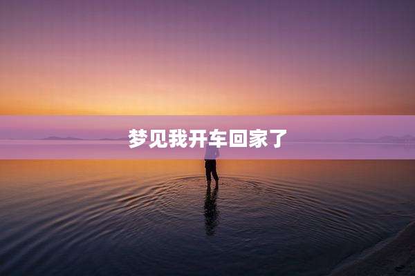 梦见我开车回家了