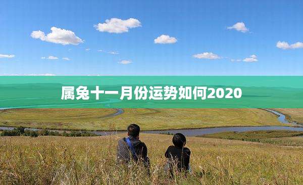 属兔十一月份运势如何2020