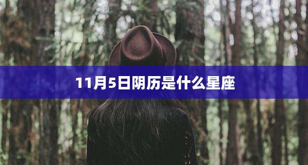 11月5日阴历是什么星座