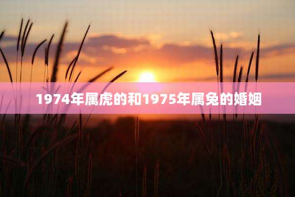 1974年属虎的和1975年属兔的婚姻
