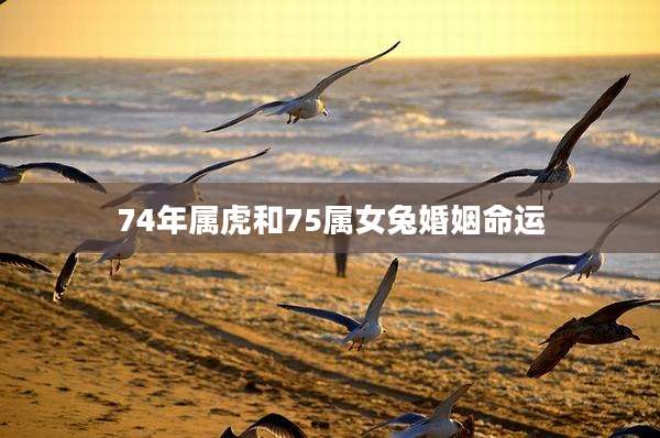 74年属虎和75属女兔婚姻命运