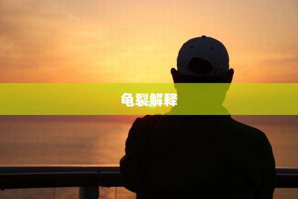龟裂解释