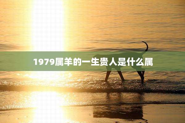 1979属羊的一生贵人是什么属