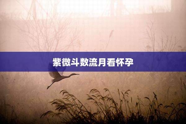 紫微斗数流月看怀孕
