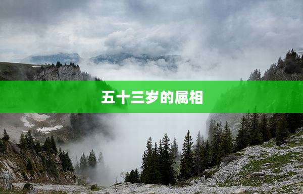五十三岁的属相