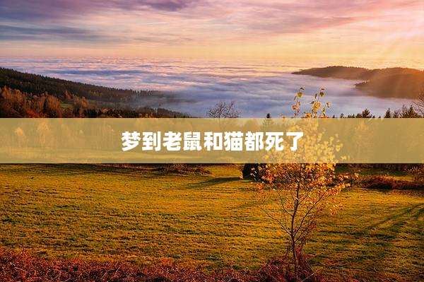 梦到老鼠和猫都死了