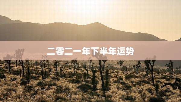 二零二一年下半年运势