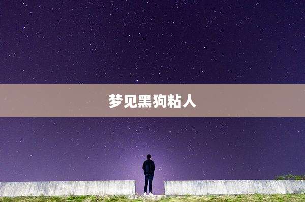 梦见黑狗粘人