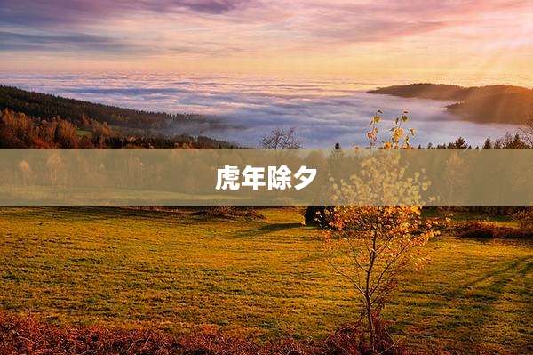 虎年除夕