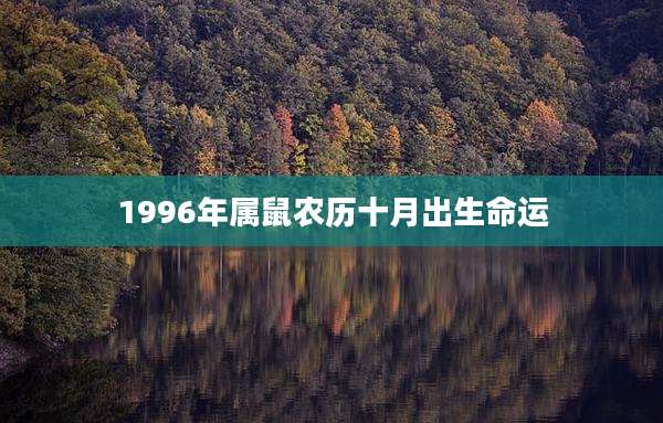 1996年属鼠农历十月出生命运
