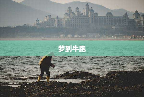 梦到牛跑